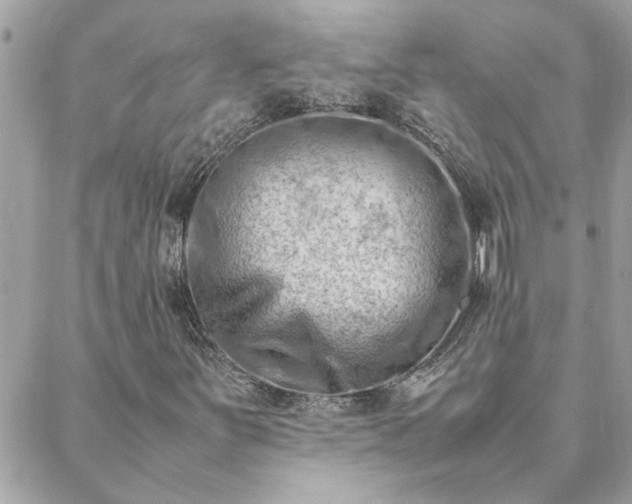 X0000088581251200706011104