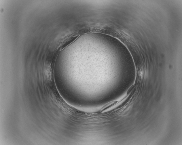 X0000088581252200706011104