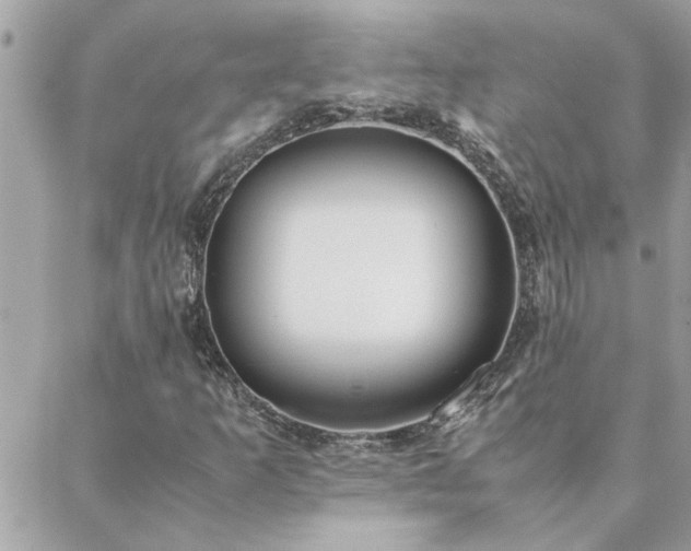 X0000088581253200706011104