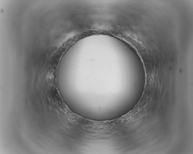 X0000088581254200706011104