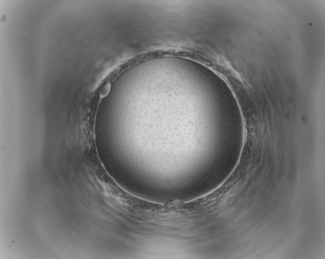 X0000088581256200706011104