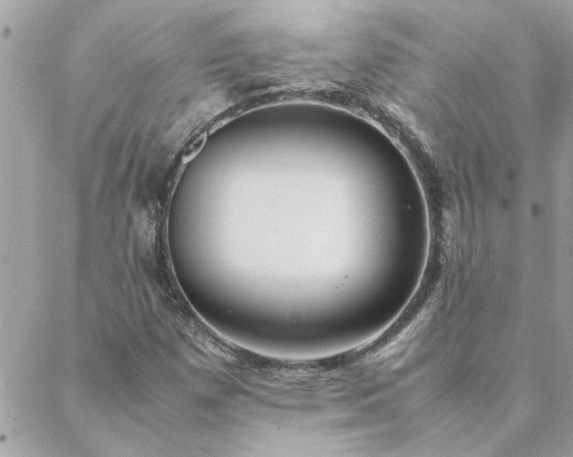 X0000088581257200706011104