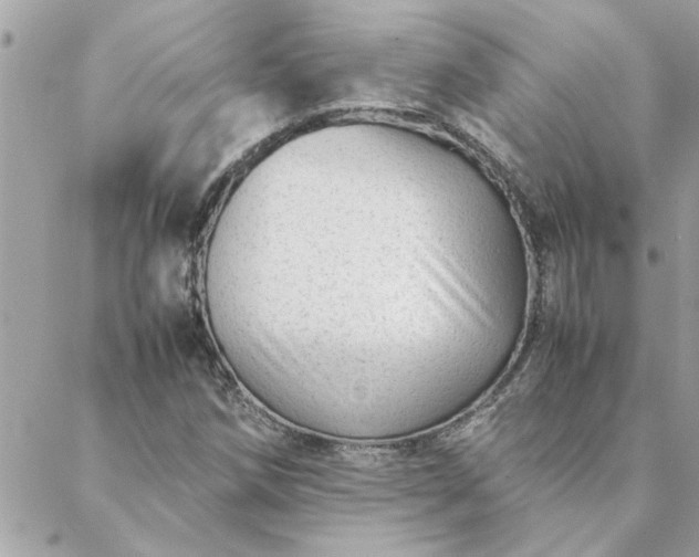 X0000088581258200706011104