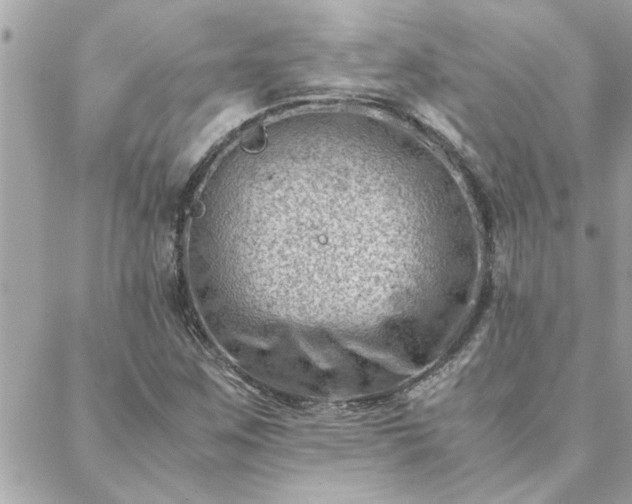 X0000088581259200706011104