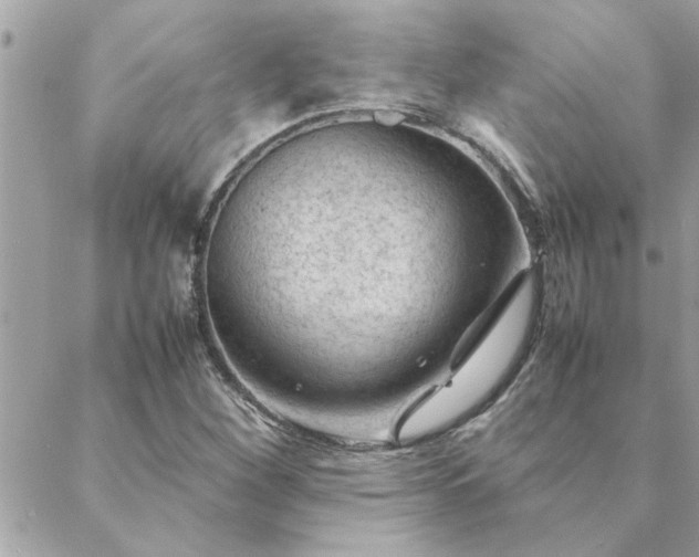 X0000088581260200706011104