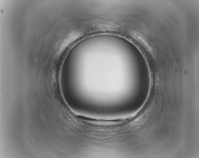 X0000088581261200706011104