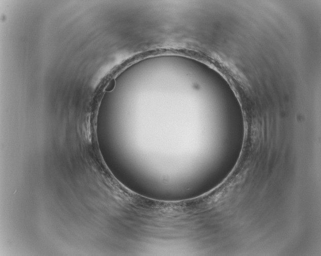 X0000088581262200706011104