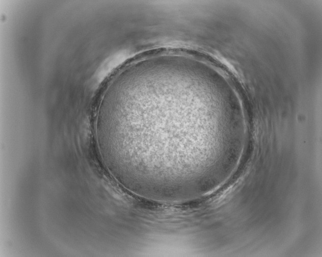 X0000088581263200706011104