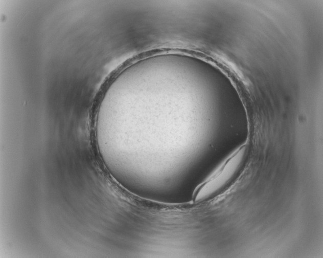 X0000088581264200706011104