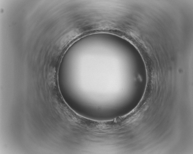 X0000088581265200706011104