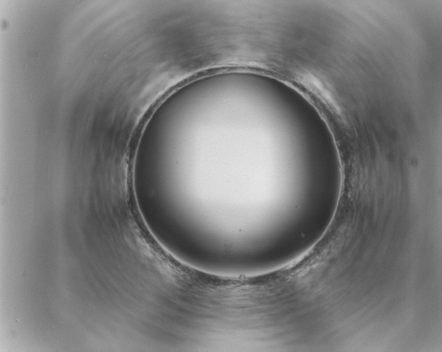 X0000088581268200706011104