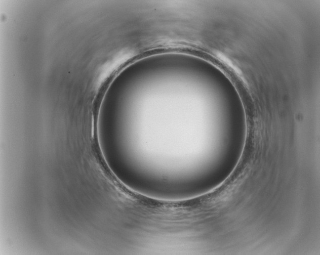 X0000088581269200706011104