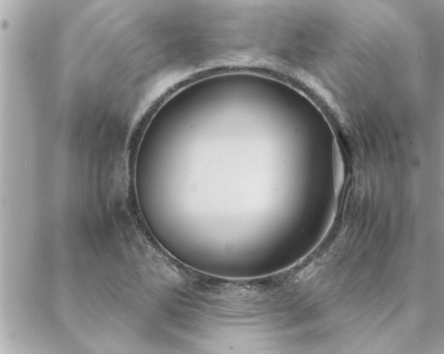 X0000088581270200706011104