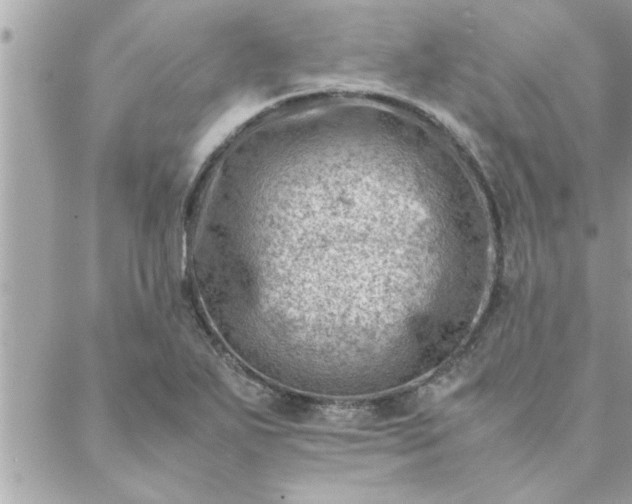 X0000088581271200706011104