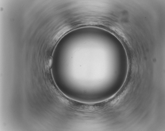 X0000088581273200706011104