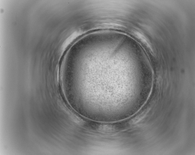 X0000088581275200706011103