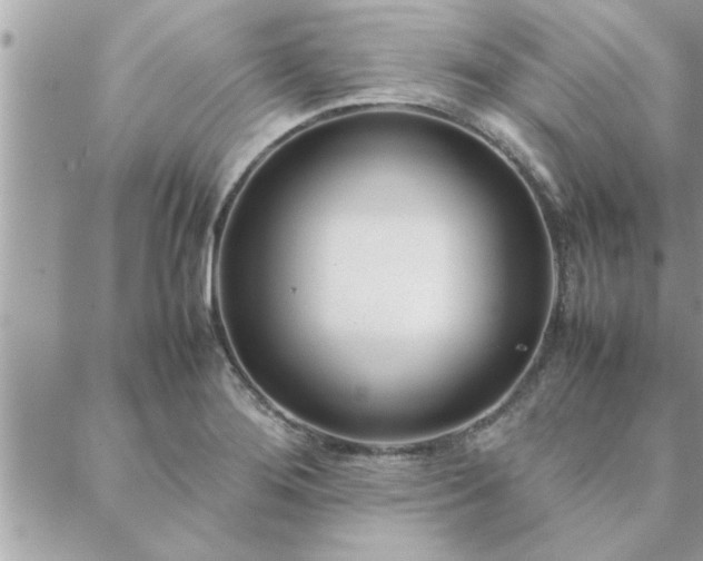 X0000088581276200706011103