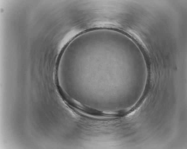 X0000088581277200706011103