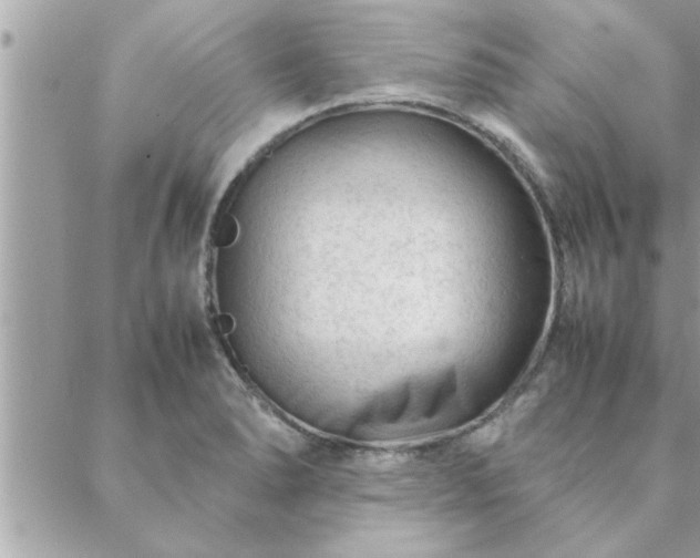 X0000088581278200706011103