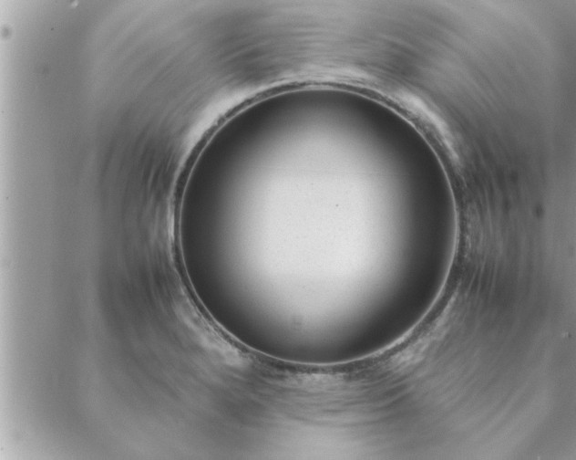 X0000088581280200706011103