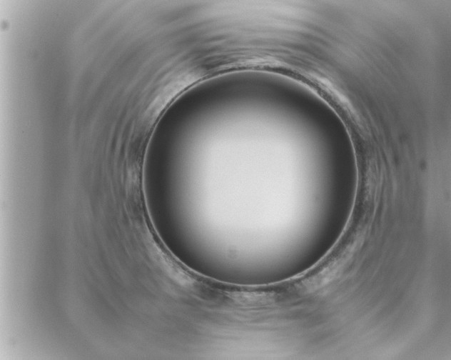 X0000088581281200706011103