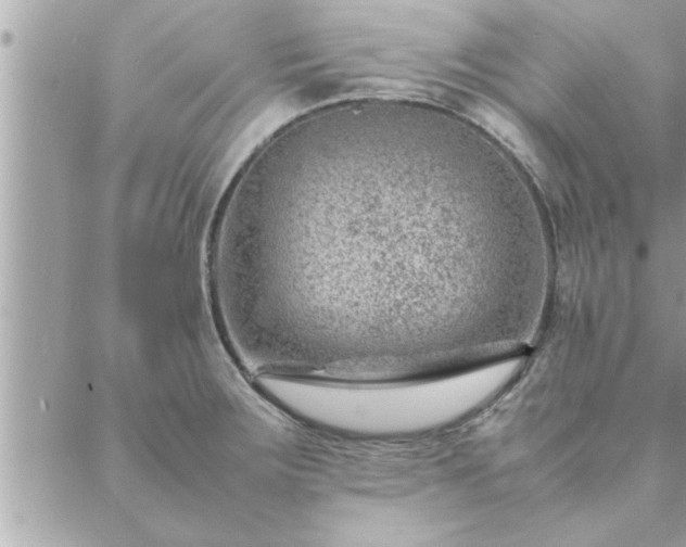 X0000088581283200706011103