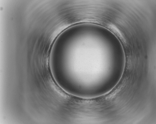 X0000088581284200706011103