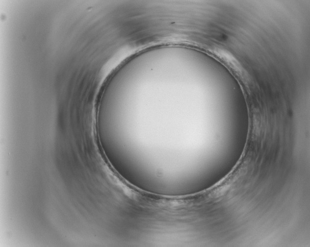 X0000088581286200706011103