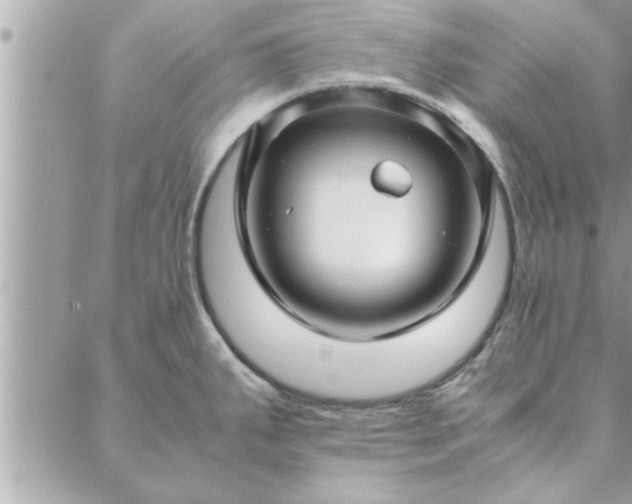 X0000088581287200706011103