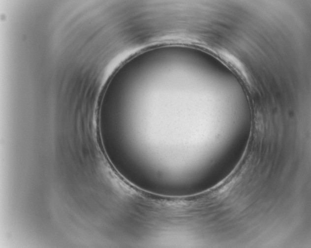 X0000088581288200706011103