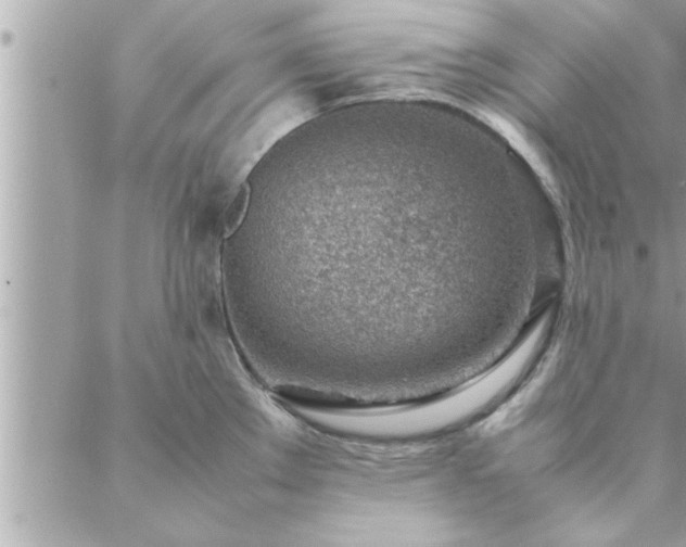 X0000088581289200706011103