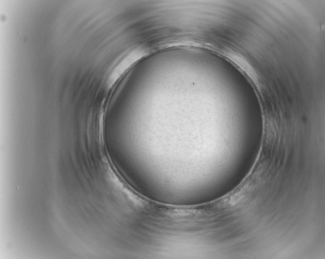 X0000088581290200706011103