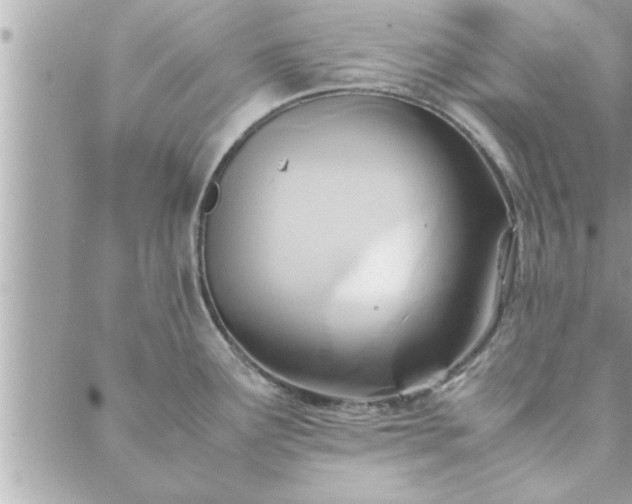 X0000088581291200706011103