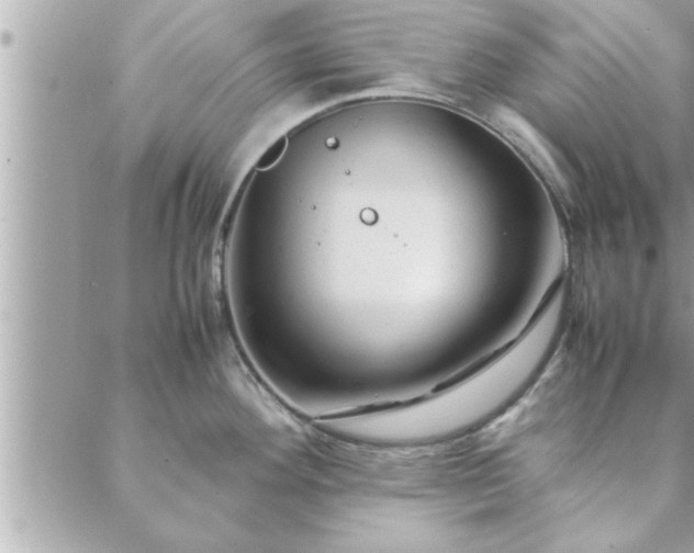 X0000088581292200706011103