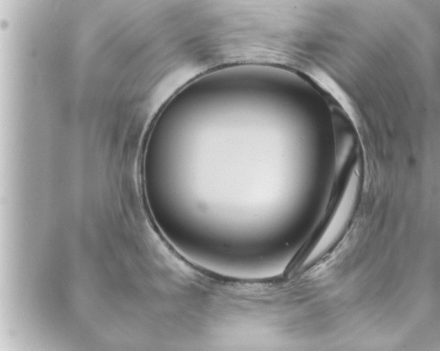 X0000088581293200706011103