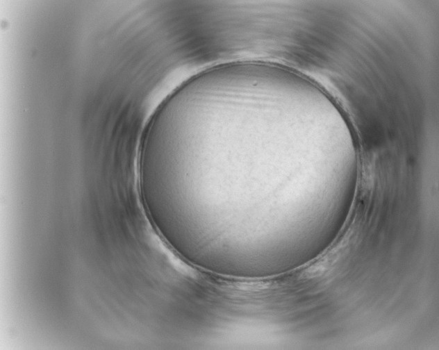 X0000088581294200706011103