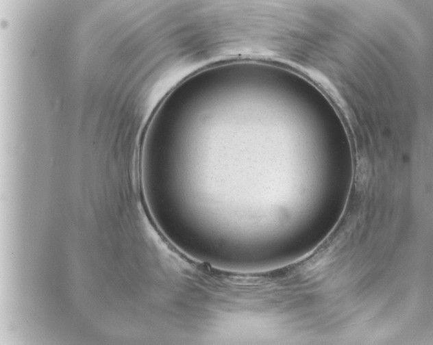 X0000088581295200706011103