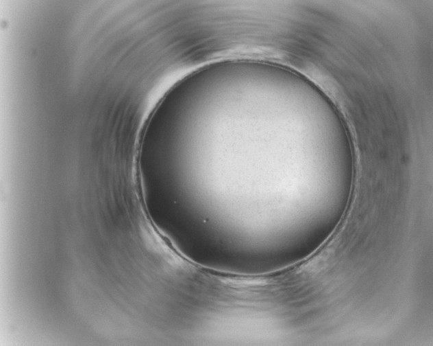 X0000088581296200706011103