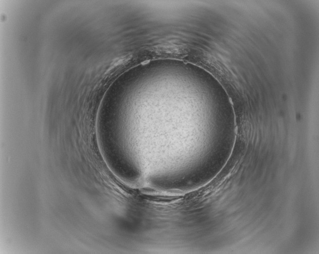 X0000088581297200706011102