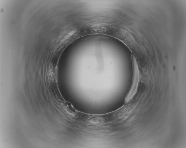 X0000088581298200706011102