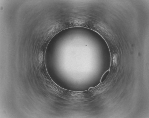 X0000088581299200706011102