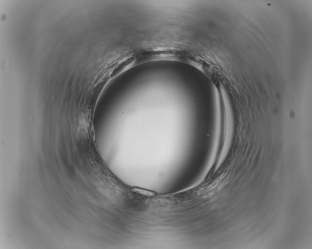 X0000088581300200706011102