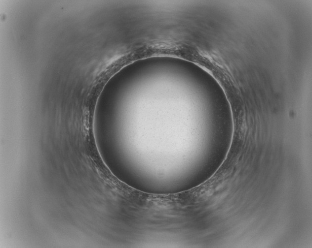 X0000088581301200706011102