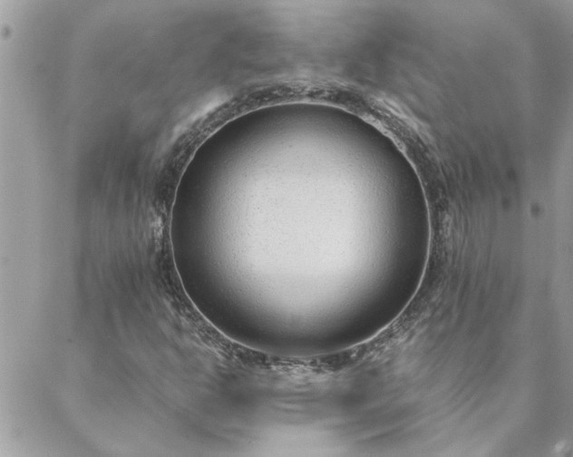 X0000088581302200706011102