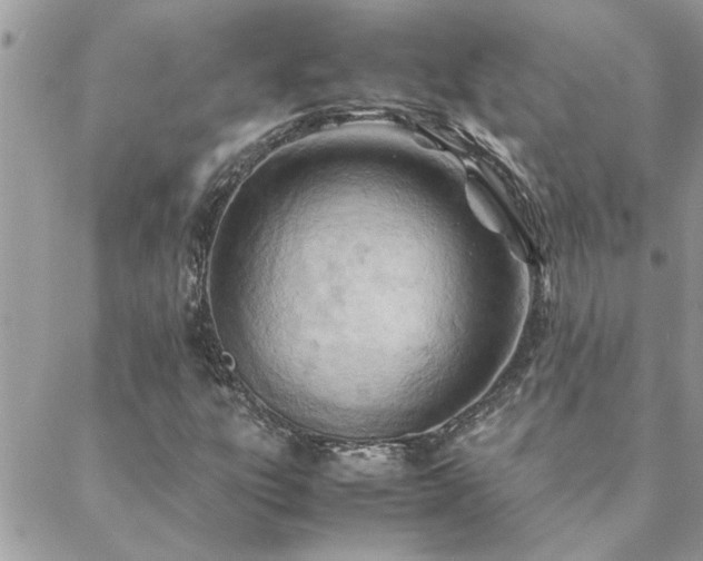 X0000088581303200706011102