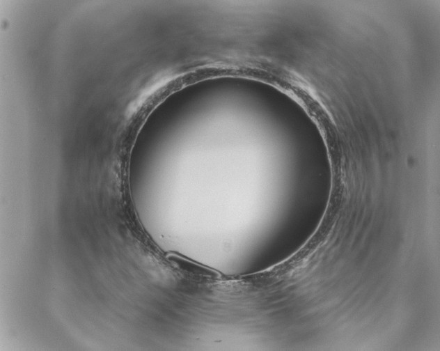 X0000088581304200706011102