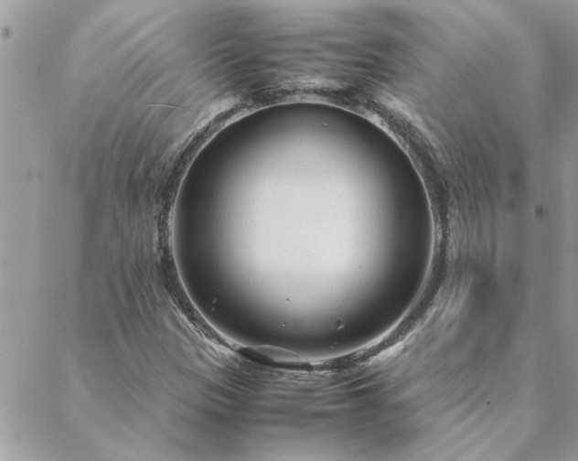 X0000088581305200706011103