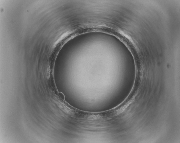 X0000088581306200706011103