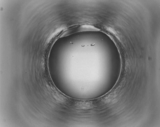 X0000088581307200706011103