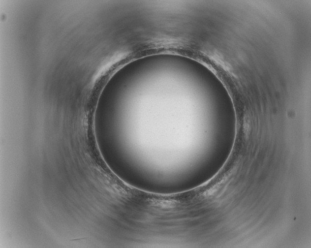 X0000088581309200706011103